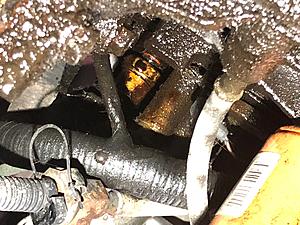 Oil leak from top of engine?-img_0688.jpg