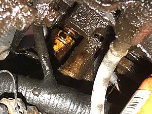 Oil leak from top of engine?-img_0690.jpg