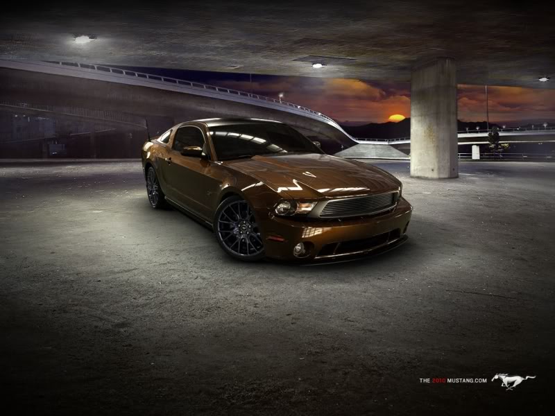 Name:  Mustang1.jpg
Views: 173
Size:  71.2 KB