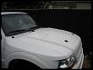 Raptor style Hood-p2250009-2.jpg