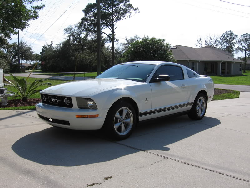 Name:  mustang001.jpg
Views: 155
Size:  96.1 KB